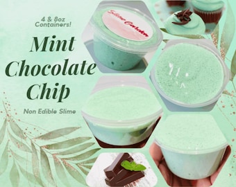 Mint Chocolate Chip