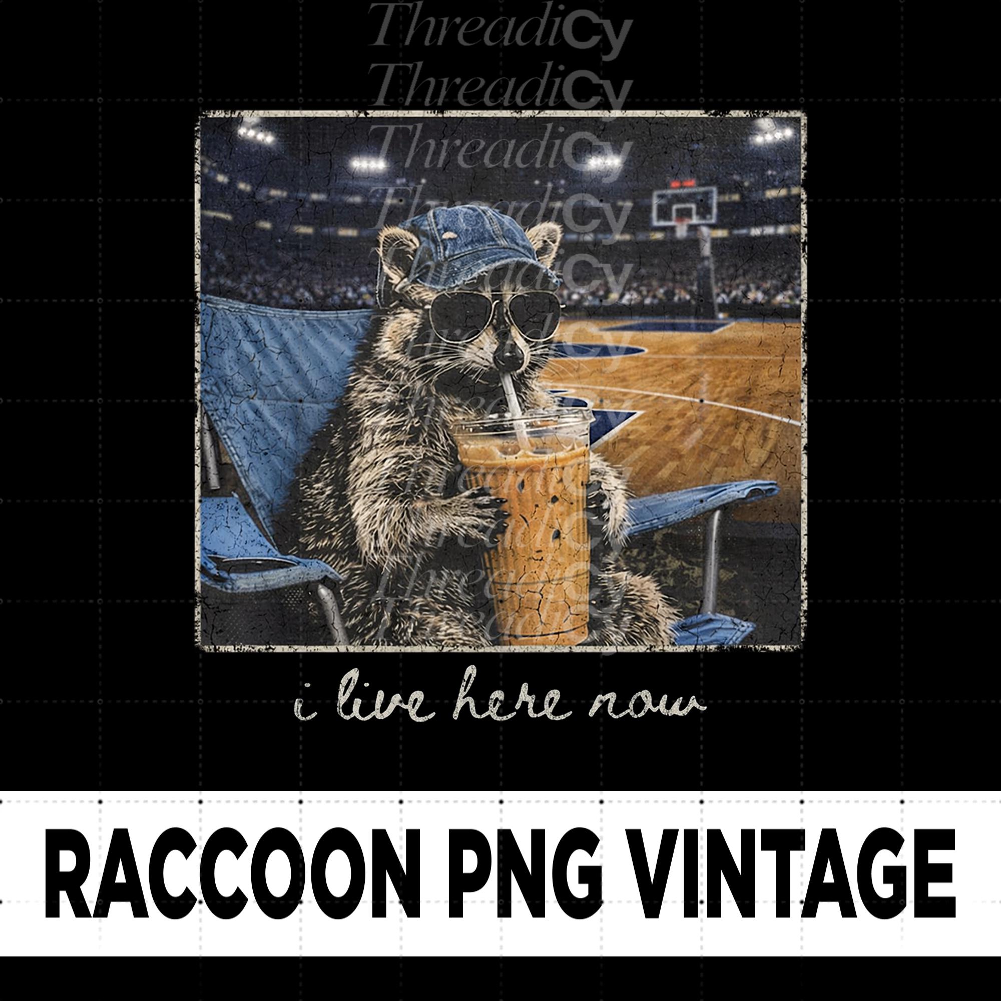 Raccoon Basketball Shirt - Etsy
