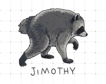 Jimothy Raccoon PNG, Seattle Feral Raccoon Png, Funny Viral Raccoon Png, Vintage Raccoon Graphic Tee