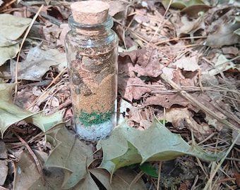 Spirit of the Forest Spell Jar | Moss Agate Protection Charm, Woodland Altar Decor