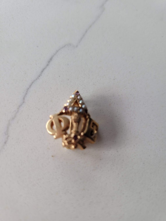 10K vintage Sigma Epsilon seed Fraternity pin