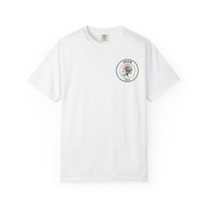 Iran World Cup 2026 Shirt, Lion and Sun Team Melli Tee, Shir o Khorshid, Persian Gift, Free Iran (Unisex) image 13