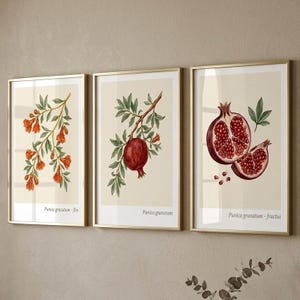 May include: A triptych of framed botanical prints depicting pomegranates. The prints show a branch with orange flowers, a whole pomegranate, and a sliced pomegranate, with the text "Punica granatum" beneath each image.
