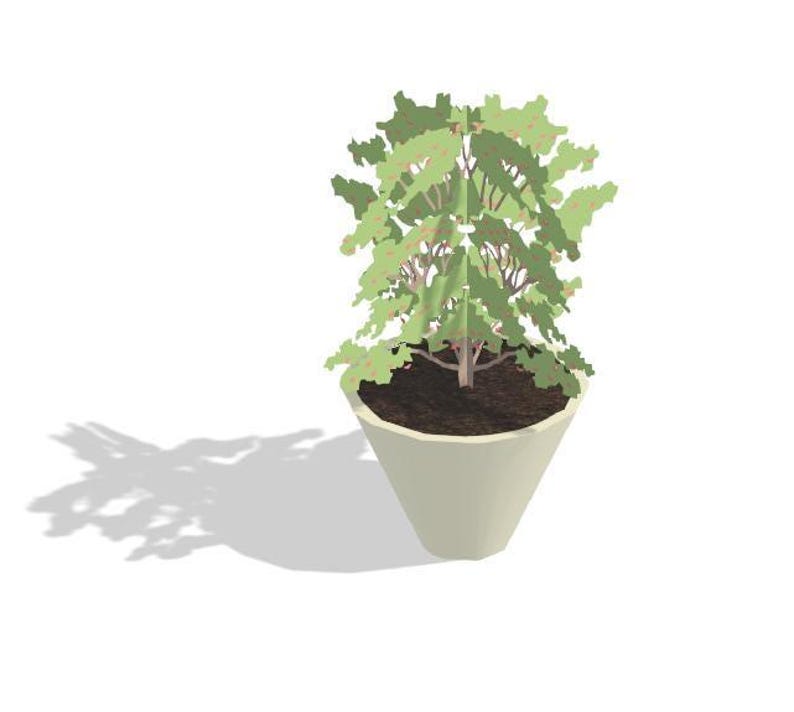 Flower Pot Rvt Revit Plant Pot Models | 50 Planter Box Collection (.rfa & .rvt) - Etsy