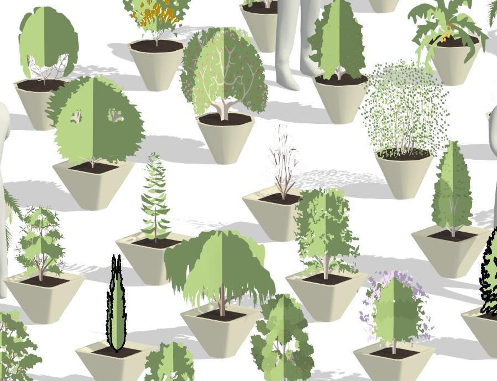 Modelos de macetas de Revit / Colección de 50 jardineras (.rfa y .rvt ...