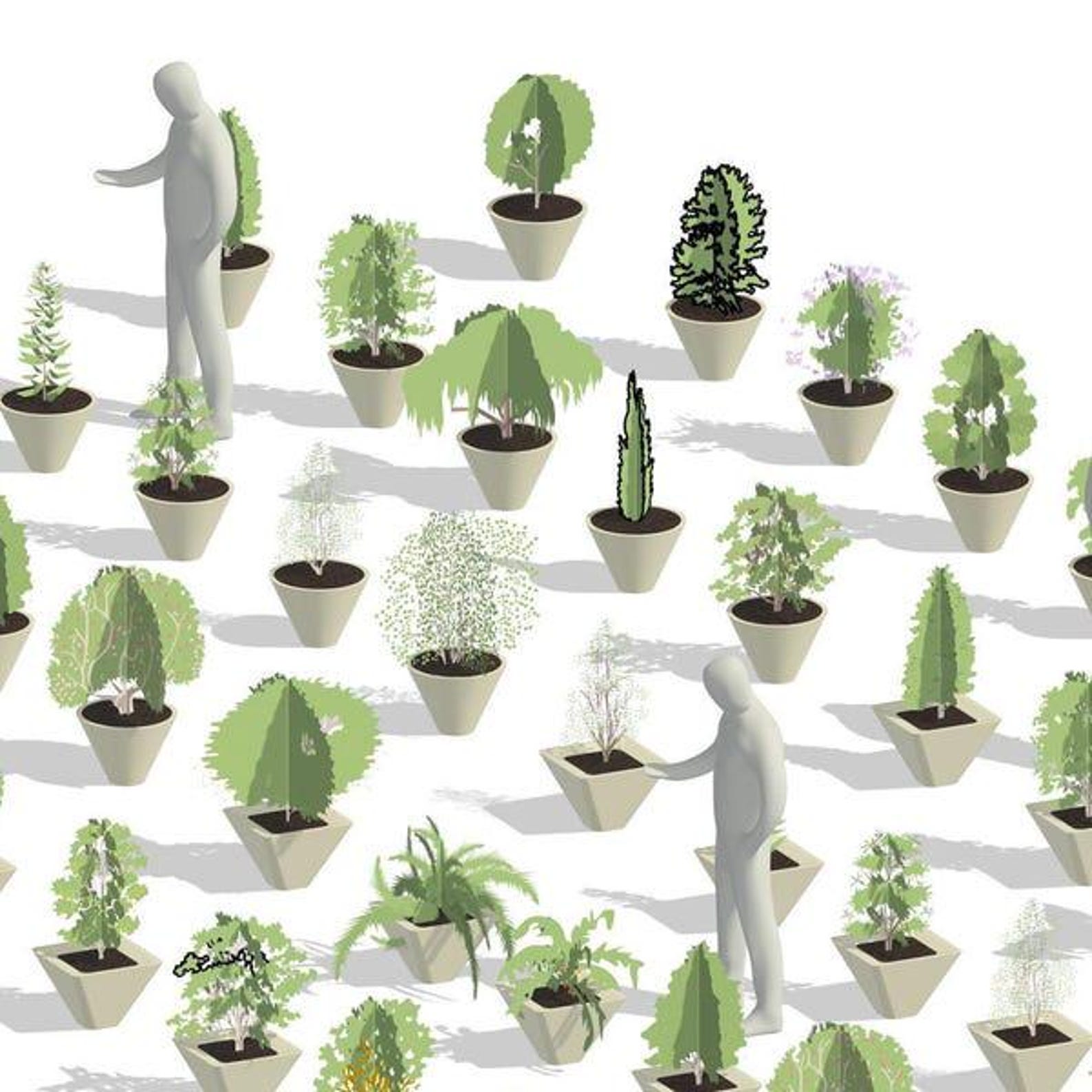 Modelos de macetas de Revit / Colección de 50 jardineras (.rfa y .rvt ...