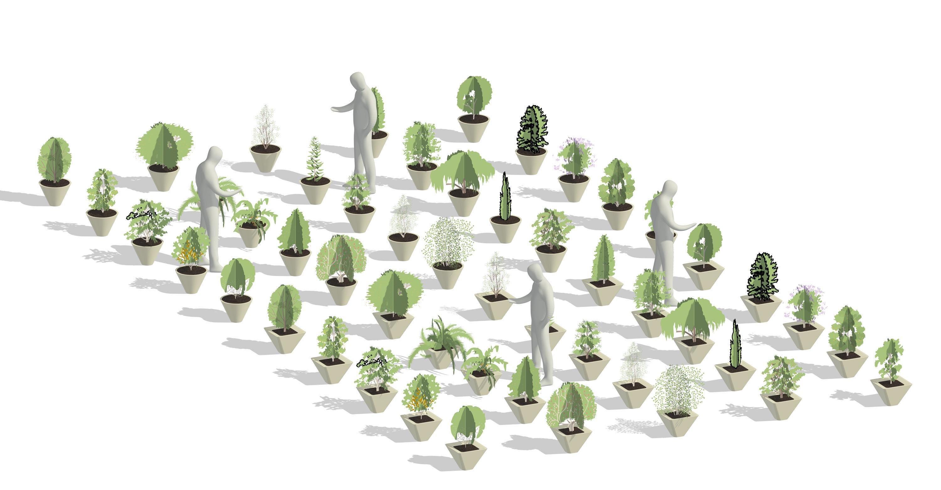 Modelos de macetas de Revit / Colección de 50 jardineras (.rfa y .rvt ...