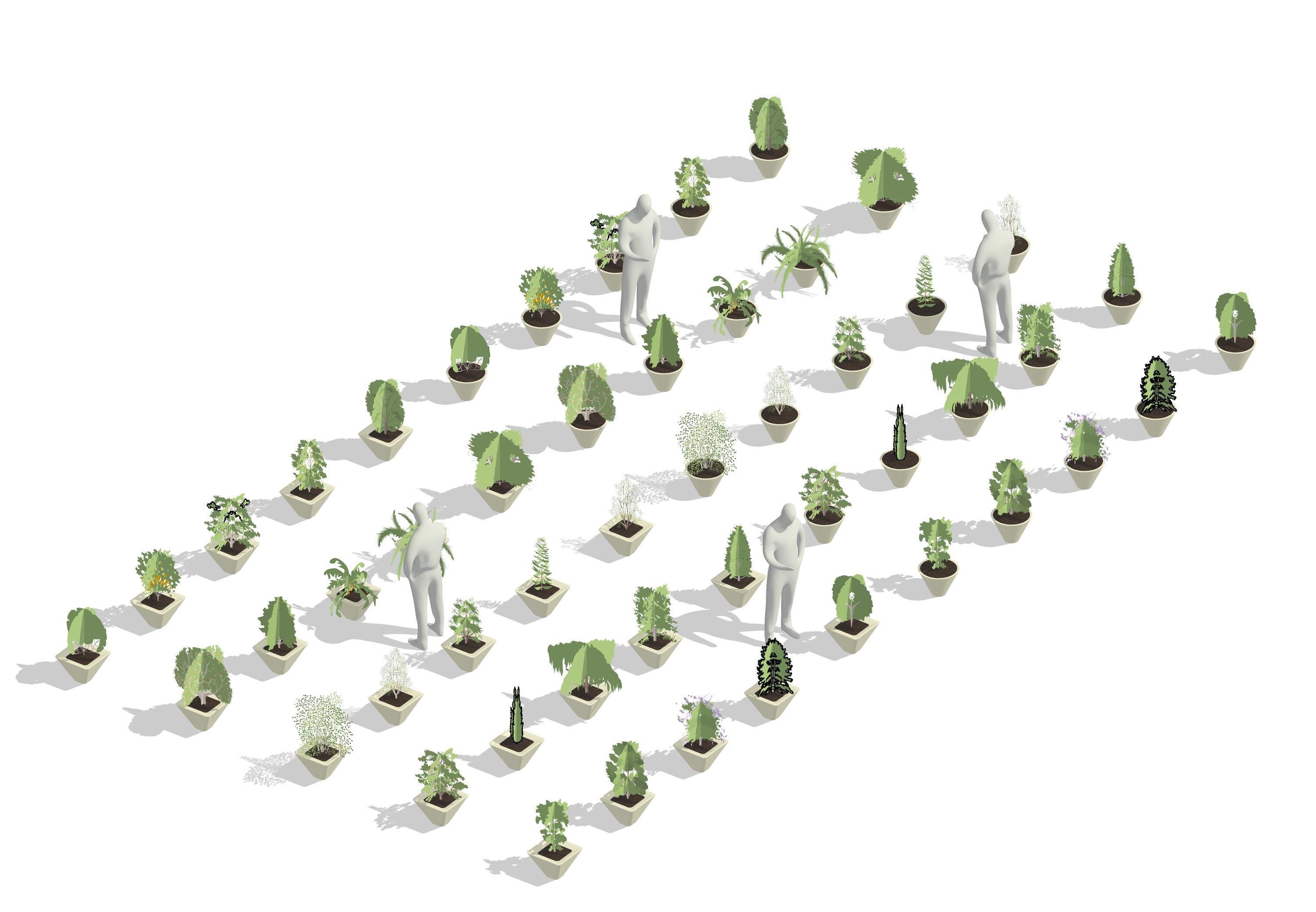 Modelos de macetas de Revit / Colección de 50 jardineras (.rfa y .rvt ...
