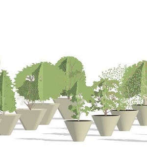 Modelos de macetas de Revit / Colección de 50 jardineras (.rfa y .rvt ...