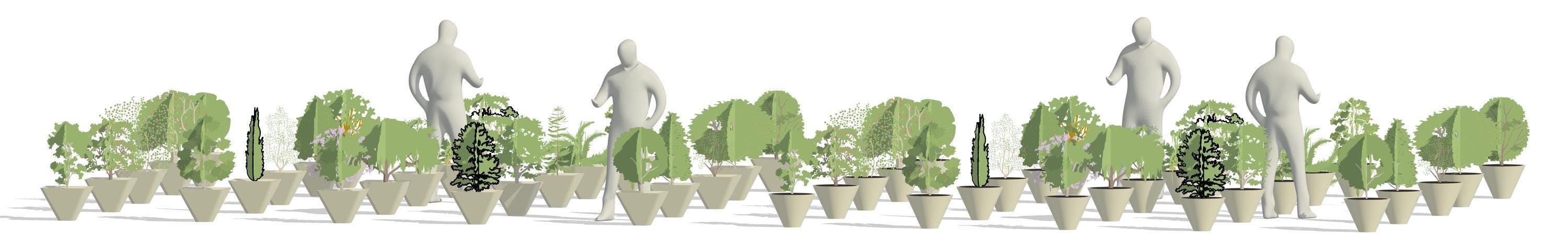 Modelos de macetas de Revit / Colección de 50 jardineras (.rfa y .rvt ...
