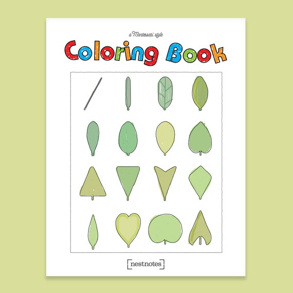 Download Montessori Educational Coloring Book Homeschool Workbook Etsy