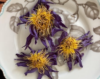 Blauer Lotus