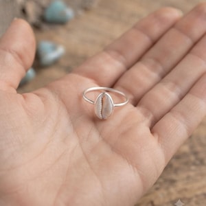May include: A silver ring featuring a small, oval-shaped white cowrie shell set in the centre. The band is thin and polished, holding the natural shell securely in place. The shell displays a light tan centre with a serrated opening detail.