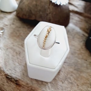 Puede incluir: Un anillo de plata con una concha de cauri blanca como pieza central. La concha tiene una forma ovalada y lisa con una abertura central de color tostado que muestra una apariencia texturizada y estriada. La banda de metal es fina y pulida.