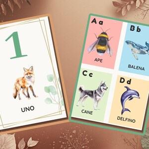 KIT Apprendimento Natura PDF - Alfabeto Animali + Numeri 1-10 - Poster Educativi Montessori - Bundle Risparmio AgathaKalo