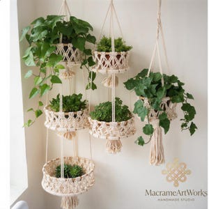 May include: Several macrame plant hangers with various green plants. The off-white hangers are suspended from the ceiling, each holding a terracotta pot. The design includes intricate knotwork and decorative tassels, creating a bohemian aesthetic.
