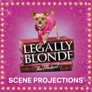 May include: A small dog wearing a pink sweater and a necklace with a letter "B" charm stands atop a stack of books. The books display the title "LEGALLY BLONDE The Musical" with the words "SCENE PROJECTIONS" below.