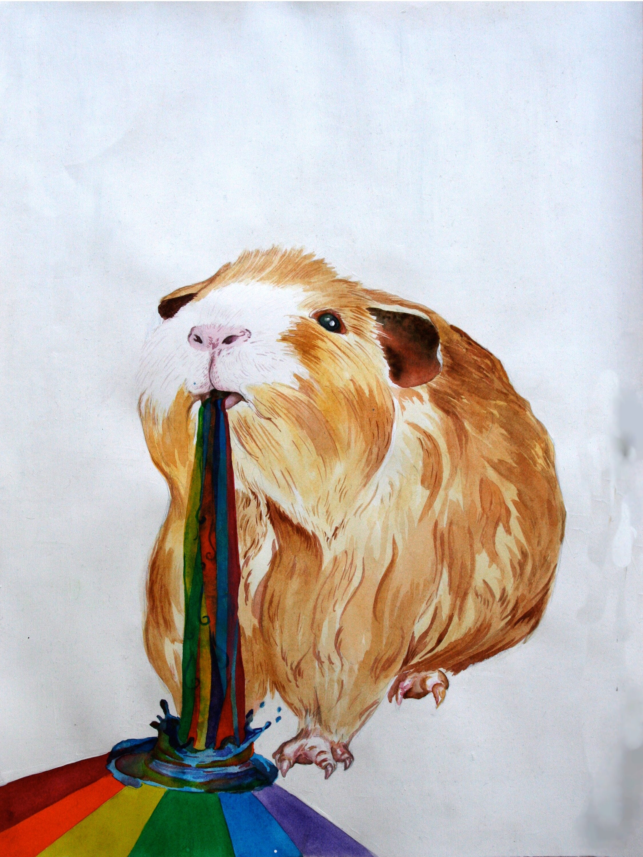 What To Do If Your Guinea Pig Throws Up at Melvin Wein blog