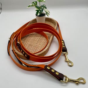 Könnte beinhalten: Orangefarbene Hundeleine mit braunen Lederakzenten und goldfarbenen Beschlägen. Die Leine ist auf einem Holztablett mit Webmuster aufgerollt. Eine kleine Topfpflanze befindet sich im Hintergrund.