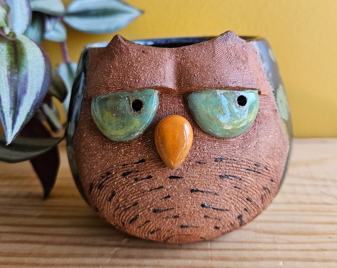 Handmade Owl Mug, owl pottery mug, wheel thrown pottery mug, owl lover, bird mug, ceramic owl,