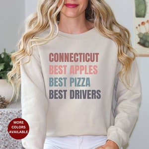Connecticut Joke Sweatshirt, Funny Connecticut Sweatshirt, Greenwich Connecticut, CT Sweatshirt New Haven Fairfield Hartford Bridgeport gift