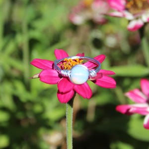 May include: A wire-wrapped ring featuring a single, round, iridescent white stone set in a silver-toned metal band. The ring is positioned centrally on a vibrant pink zinnia flower with a yellow center, set against a blurred green garden background.