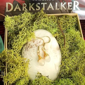 Clearsight's Earrings: As  in Wings of Fire 'Darkstalker' by Tui T. Sutherland