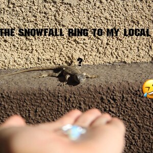 May include: A small brown lizard rests on a ledge near a hand holding a silver ring. The text "GIFTING THE SNOWFALL RING TO MY LOCAL DRAGON" is printed at the top, accompanied by a question mark icon above the lizard and a laughing emoji to the right.
