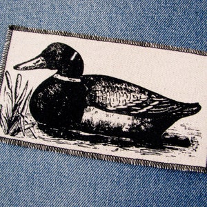 May include: Black and white illustration of a duck on a white background with a black border. The duck is swimming in a body of water with reeds in the background.