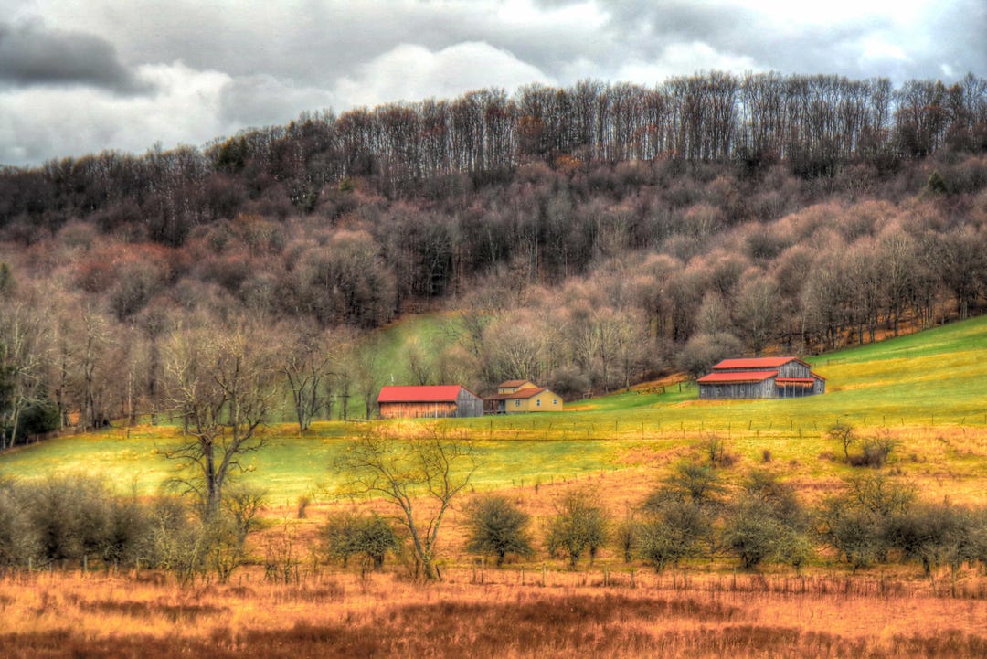 Spring Appalachia Red Maples Rising - Appalachian Spring, West Virginia - Etsy
