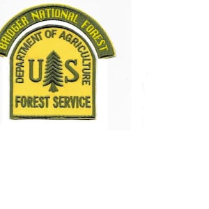 Può includere: Una toppa ricamata a forma di scudo giallo con bordo verde scuro, recante le scritte Bridger National Forest, Department of Agriculture e Forest Service, con un'icona di pino tra le lettere U e S, accanto a un righello da 10 cm.