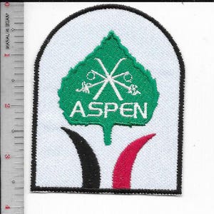 Può includere: Toppa ricamata con sfondo bianco e bordo nero. La toppa presenta un disegno a forma di foglia verde con sci incrociati e la scritta "ASPEN" in bianco. Sotto la foglia ci sono forme curve nere e rosse.