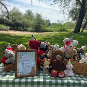 May include: A collection of various plush teddy bears in wicker baskets, each wearing a small colourful party hat. A wooden framed sign sits in the centre with the text, Adopt your very own Little Bear!, featuring a small illustration of a bear.