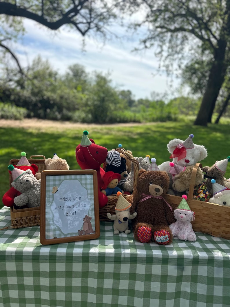 May include: A collection of various plush teddy bears in wicker baskets, each wearing a small colourful party hat. A wooden framed sign sits in the centre with the text, Adopt your very own Little Bear!, featuring a small illustration of a bear.