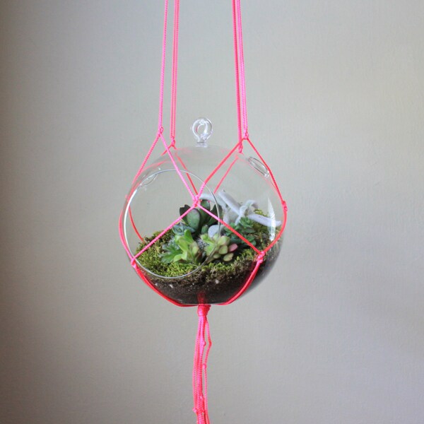 Neon Pink Macrame Terrarium or Planter Hanger.