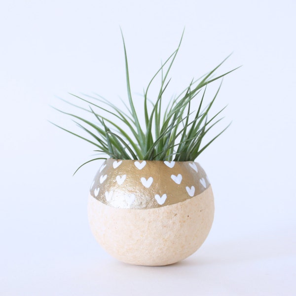 Air Plant Planter with Air Plant Natural, Gold with White Hearts Hand painted Terrarium. Gold Metallic Modern Planter Thank you hostess Gift