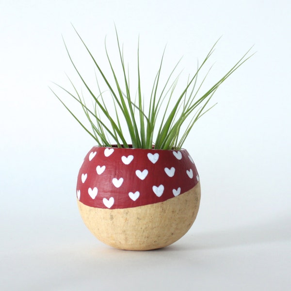 Air Plant Planter with Air Plant. Red with White Hearts. Valentine's Day Gift. Airplant Planter Pod Terrarium. Red hearts. Mother's Day Gift