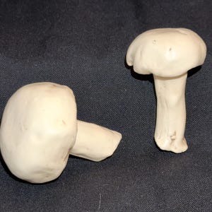 May include: Two off-white mushroom sculptures are displayed against a dark background. One mushroom stands upright, while the other lies on its side. The sculptures have a smooth texture and a naturalistic design, suitable for home decor.