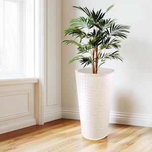 May include: A tall, white, textured planter with a geometric pattern, holding a lush green plant with multiple fronds. The plant has brown stems and is set against a white wall and wooden floor.