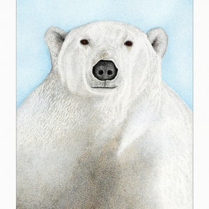 Polar Bear