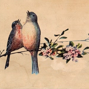 Singing Bluebirds on Flowered Branch Vintage Postcard Ephemera Instant Digital Download Printable Clipart Graphic vs0089