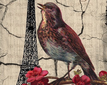 Gift Hang Tag Eiffel Tower Bird Red Flowers Vintage French Postcard Ephemera Digital Download Printable Collage Clipart  vs0047