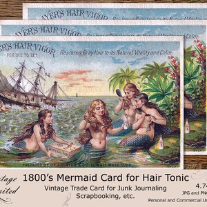 1800s Sereia Navio Naufrágio Cabelo Tônico Propaganda Cartão Comercial Vintage Efêmera Lixo Diário Recados Livro de recortes para impressão Download digital instantâneo