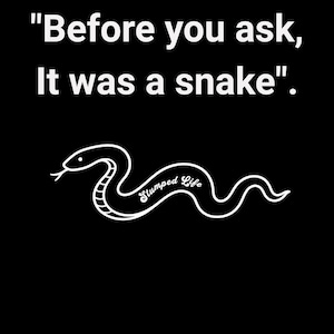 Puede incluir: Una camiseta gráfica negra con el texto blanco "Before you ask, It was a snake". Debajo del texto hay una ilustración de línea blanca de una serpiente con las palabras "Stumped Life" escritas en fuente cursiva dentro del cuerpo de la serpiente.