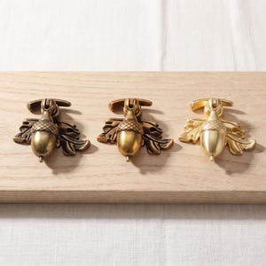 May include: Three metal drawer pulls shaped like acorns with oak leaves. The pulls are arranged in a row, featuring three distinct metallic finishes: a dark antique bronze, a medium brass, and a bright brushed gold tone, each with a swinging handle.