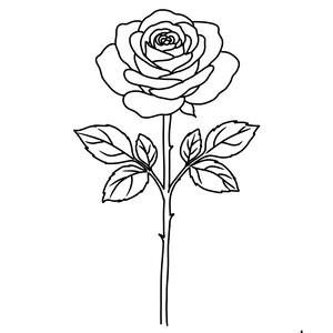 May include: A black and white line drawing of a rose. The rose has multiple petals and is on a stem with leaves. The artist's initials, "ph", are in the bottom right corner.
