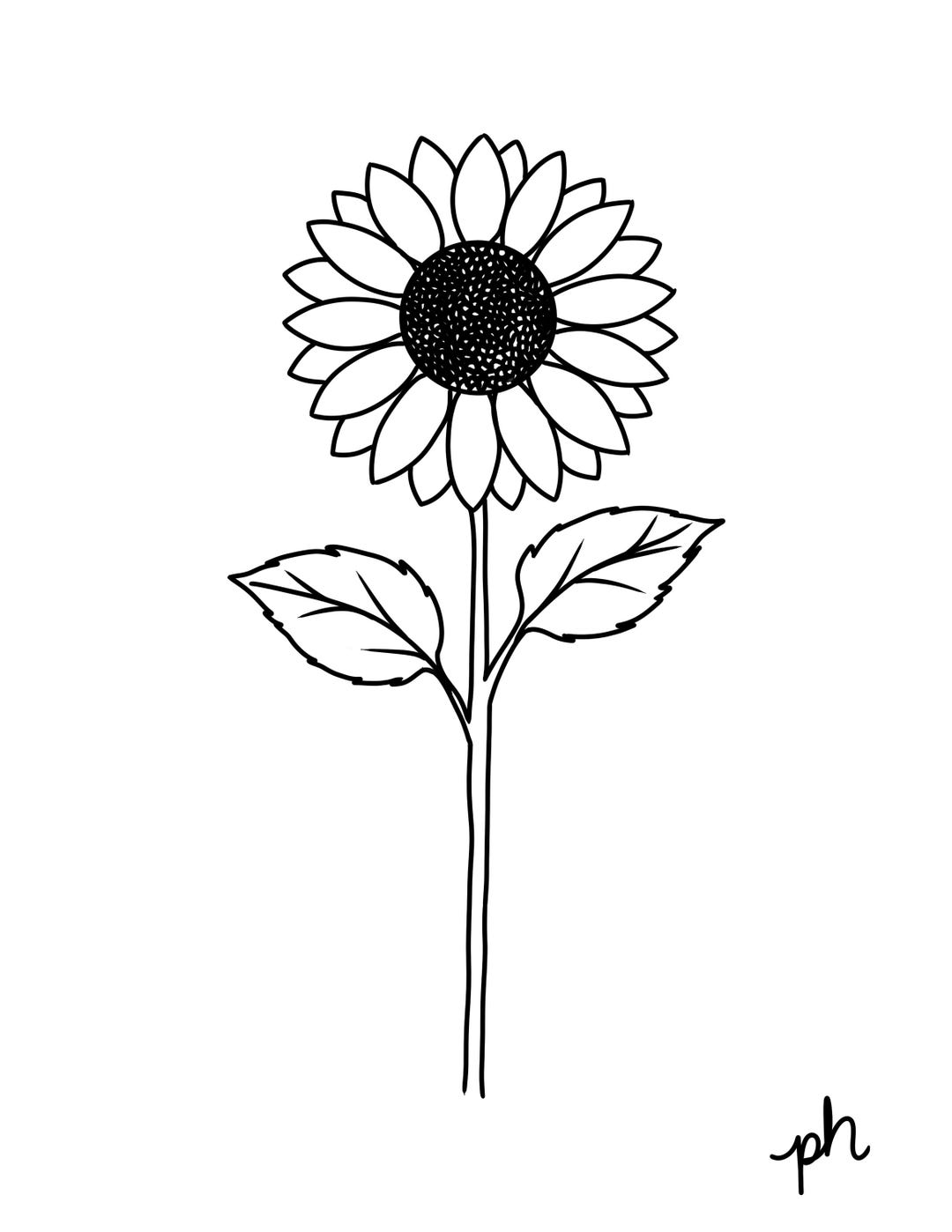 Sunflower Coloring Page | Hand Drawn Botanical Flower Line Art (PDF PNG ...