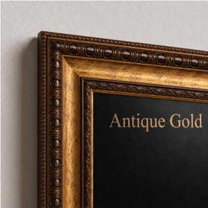 Op de afbeelding: Een rechthoekige fotolijst met een sierlijke, gelaagde rand in een donkerbruine en metallic gouden afwerking. De lijst heeft een herhalend patroon van kralen en bladeren langs de randen. De tekst Antique Gold staat op het zwarte midden.