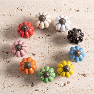 May include: A collection of nine pumpkin-shaped ceramic cabinet knobs arranged in a circle. Each knob features a glossy finish in various colors including red, cream, white, black, blue, yellow, green, orange, and pink, with a bronze-toned metal base.