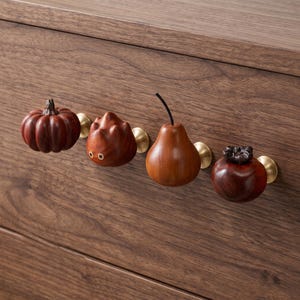 Può includere: Quattro pomelli decorativi per mobili a forma di zucca, una piccola creatura con due occhi, una pera con gambo scuro e un cachi. Ogni pomello è realizzato in legno scuro lucido e montato su una base circolare in ottone spazzolato.